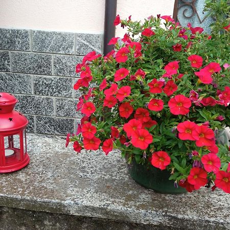 B&B L'Ortensia Vignolo Exterior foto